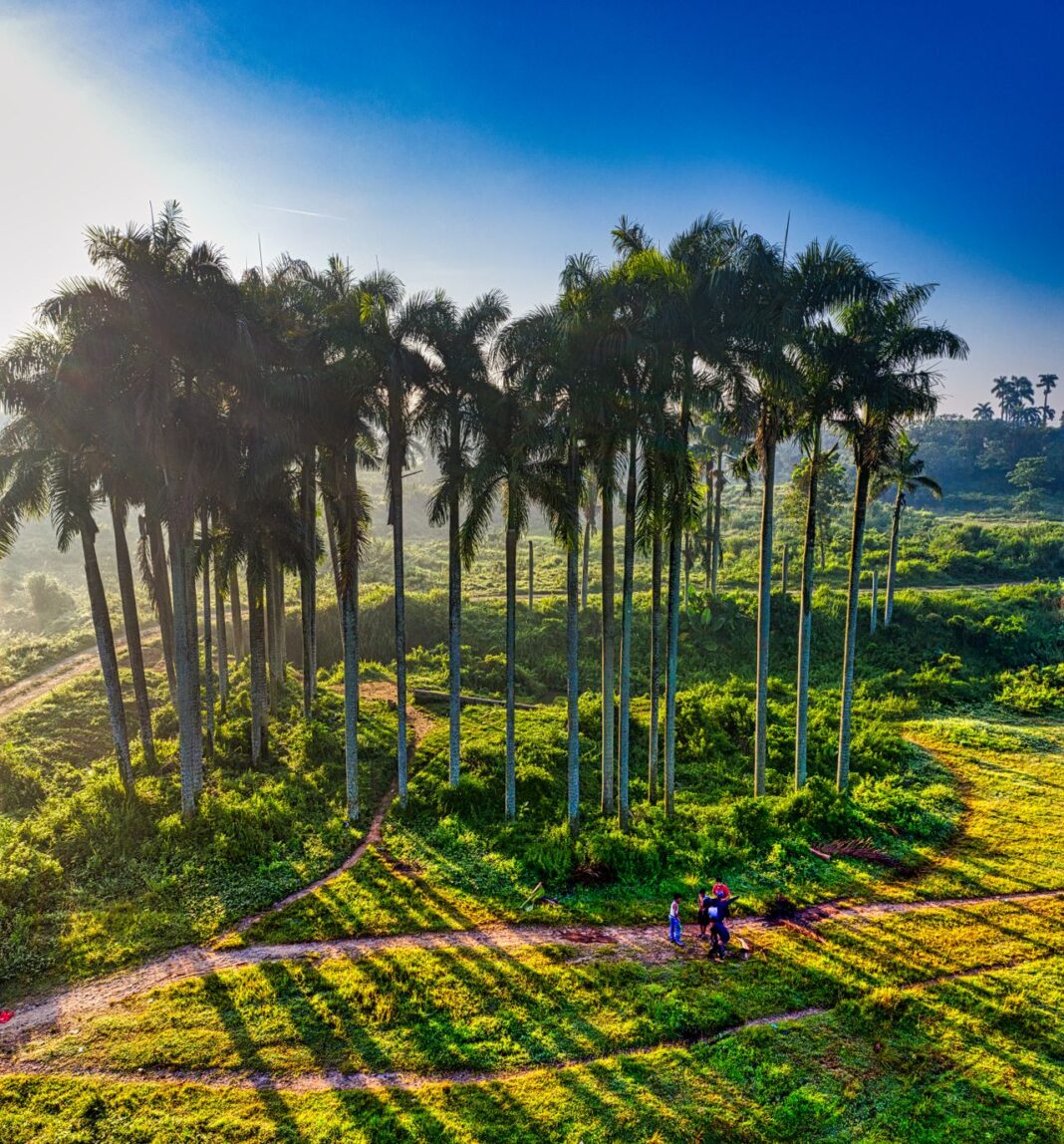 Turismo de lujo en Colombia con viajeros internacionales en un entorno natural